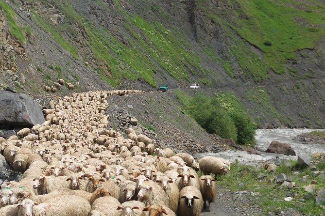 Kazbegi Day trip - The Pace, Transport, and Private Format