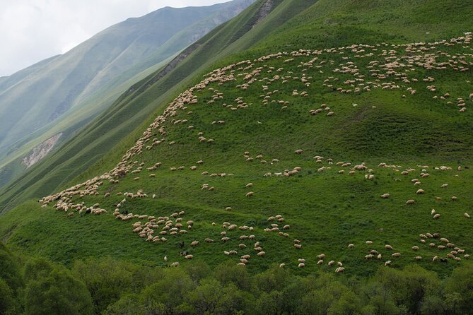 Kazbegi - One Day Private Trekking Tour to Truso Valley - Zakagori Fortress near the border