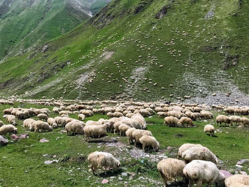 Kazbegi, Stepantsminda, and Gudauri Tour - Key points to know before booking