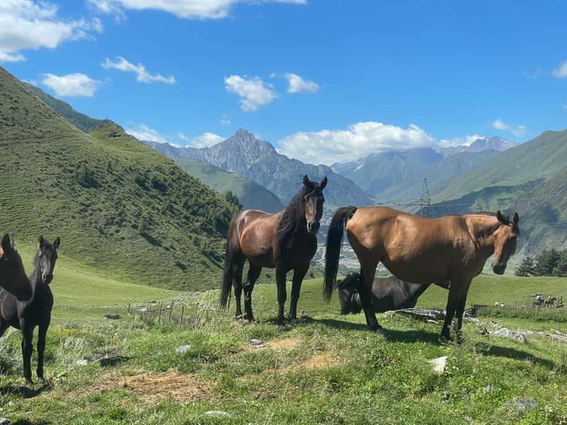 Kazbegi:Sunset Horse Riding Tour from Rooms Hotel Kazbegi - Key points to know before booking