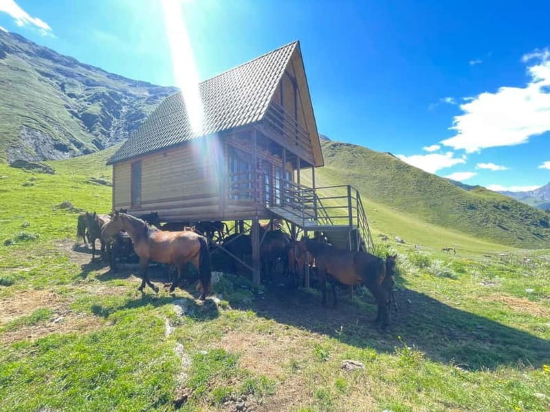 Kazbegi:Sunset Horse Riding Tour from Rooms Hotel Kazbegi - The photo service adds real value