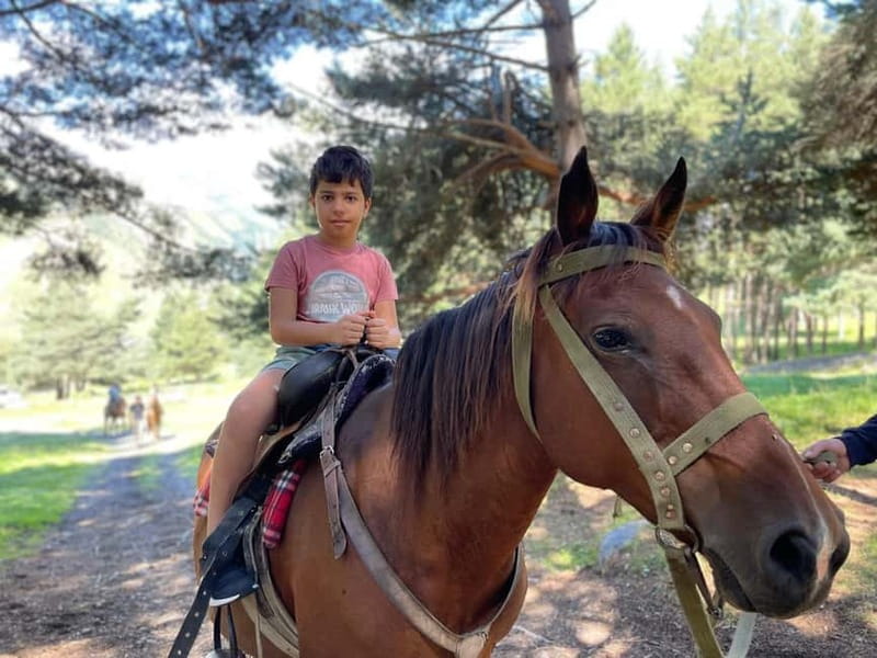 Kazbegi:Sunset Horse Riding Tour from Rooms Hotel Kazbegi - Who will enjoy this Kazbegi ride?