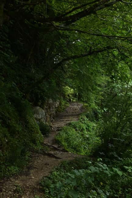 Kutaisi: Okatse-Martvili Canyons,Prometheus Cave, Waterfalls - Ogueshi Waterfall and a chance to swim