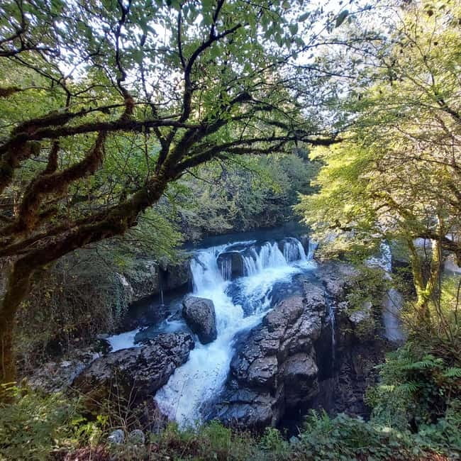 Kutaisi: Okatse-Martvili Canyons,Prometheus Cave, Waterfalls - Okatse Canyon and its high hanging bridges