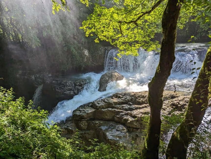 Kutaisi: Prometheus Cave & Martvili Canyon Guided Tours - Guides, pace, and the human side of the day