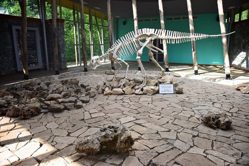 Kutaisi: Sataplia Natural Res. & Tetra Cave Wine Degustation - Dinosaur steps and the reserve’s outdoor side