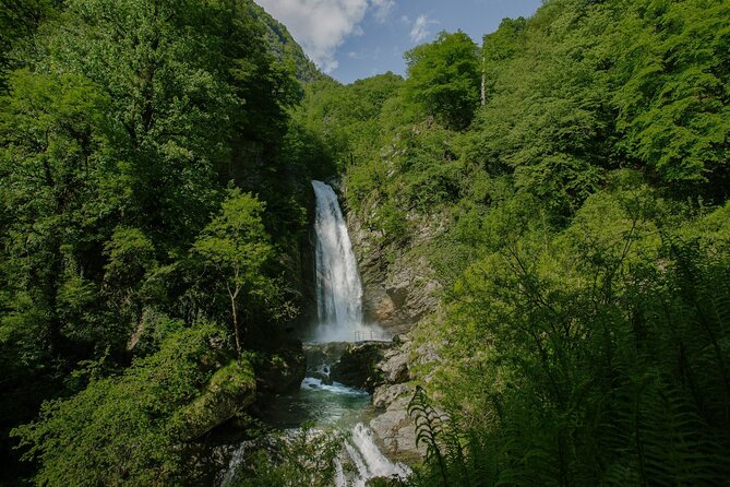 Lagodekhi - A day hiking from Tbilisi - Key points to know before booking