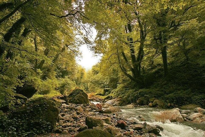 Lagodekhi - A day hiking from Tbilisi - Starting at the Gurgeniani Visitor Center