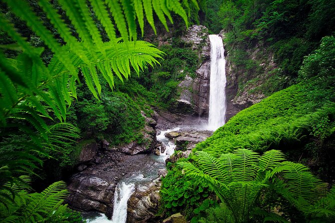 Lagodekhi - A day hiking from Tbilisi - Who will get the most from this day