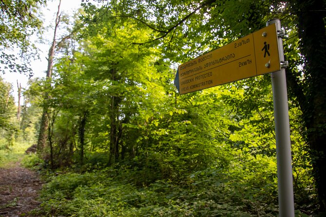 Lagodekhi - A day hiking from Tbilisi - Walking beside the Ninoskhevi River