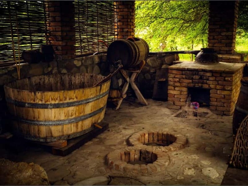 Land of the Sun Full Day Wine and Grapes Tour in Kakheti - The best parts of this Kakheti day trip