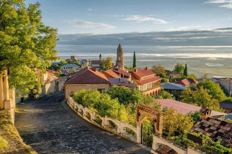 Land of the Sun Full Day Wine and Grapes Tour in Kakheti - Who should book this Kakheti tour?