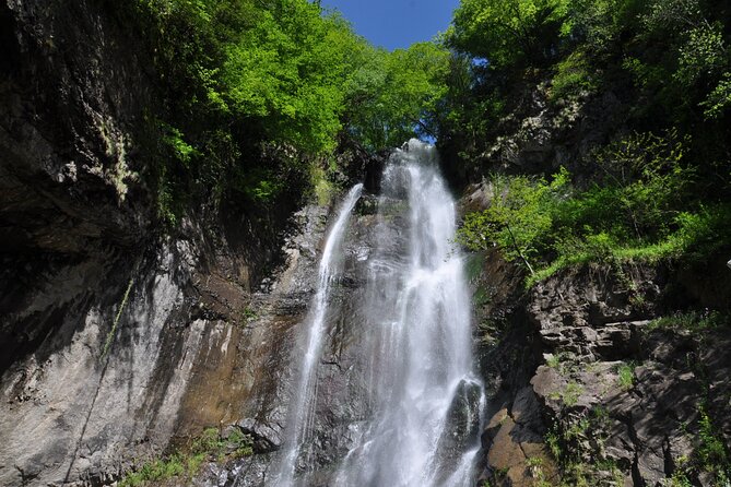 Mountains of Adjara Private Wine Tour from Batumi - What the private format adds