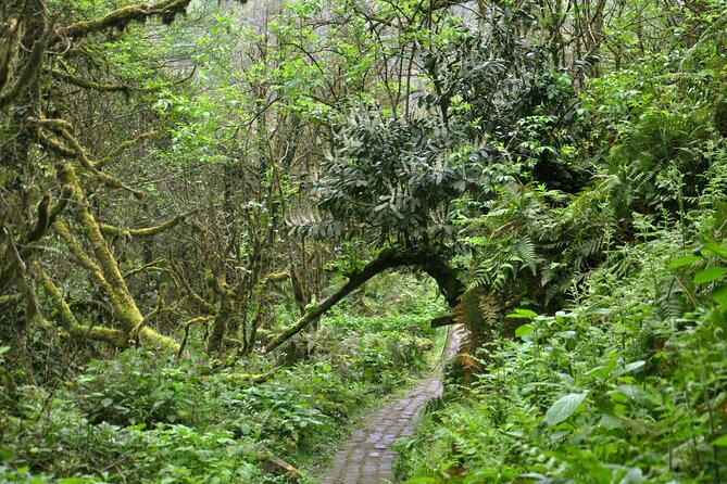 Mountains of Adjara Private Wine Tour from Batumi - Who should book this Adjara outing?