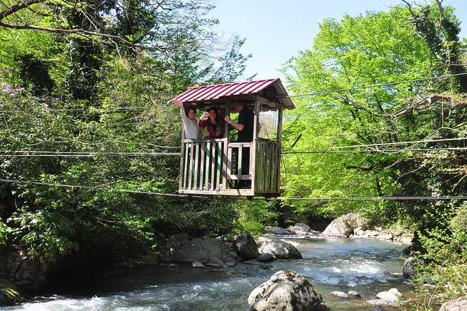 Mtirala National Park Tour - Why Mtirala Makes a Good Day Trip from Batumi