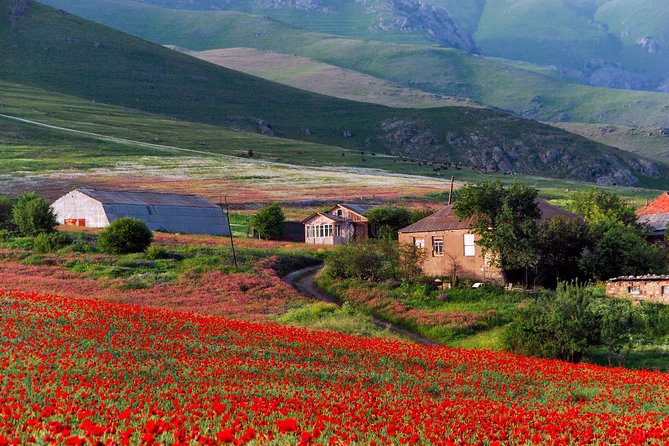 Mtskheta,Jvari,Gori,Uplistikhe(private tour) - Price, extra costs, and overall value