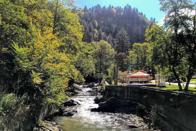 Mtskheta Uplistsikhe Borjomi in one day tour - Borjomi Central Park and the famous water