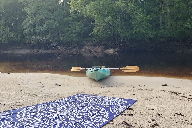 Okefenokee Swamp: Guided Kayak Tour with a Local Naturalist - Five things to know before you paddle