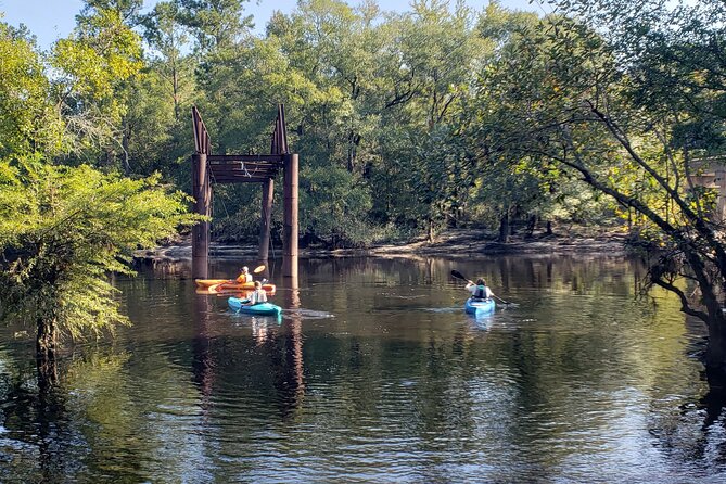 Okefenokee Swamp: Guided Kayak Tour with a Local Naturalist - Starting at Suwannee Canal Road in Folkston