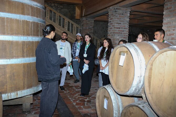 One Day Kakheti Tour with Wine Tasting and Free Churchkhela - Sighnaghi: the prettiest walk of the day