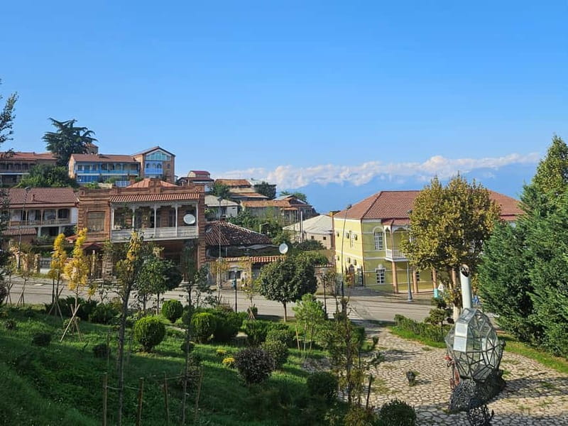 One-day tour in Kakheti with a guide and free wine tasting - Telavi brings wine, dinner, and an ancient tree