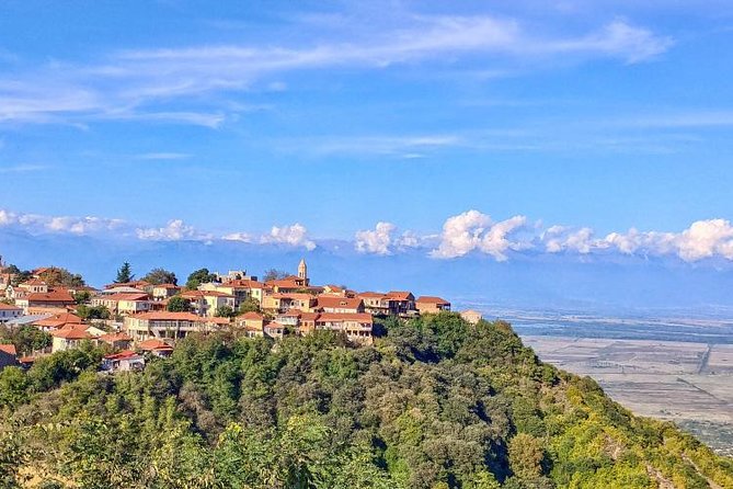 Premium & Organic Wine Tour in Kakheti - Khareba’s tunnel and four premium wines