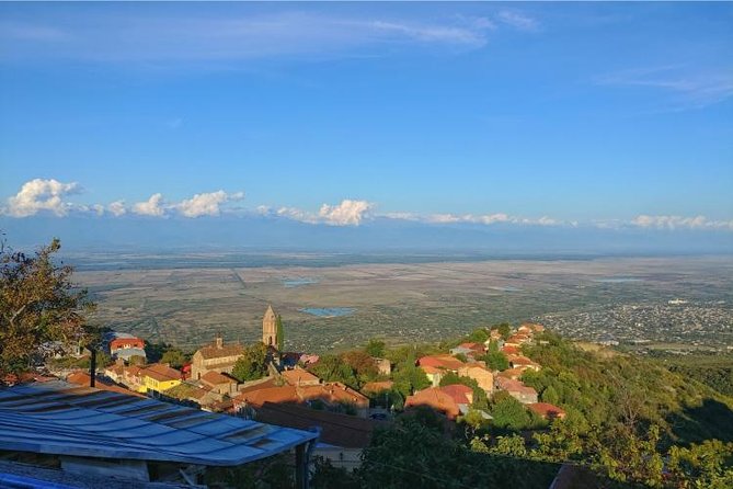 Premium & Organic Wine Tour in Kakheti - Shumi Winery and hundreds of Georgian grape species