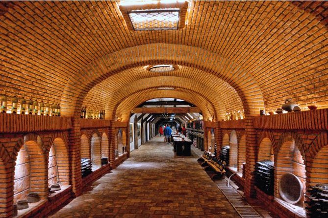 Premium & Organic Wine Tour in Kakheti - What the $210.85 price really covers