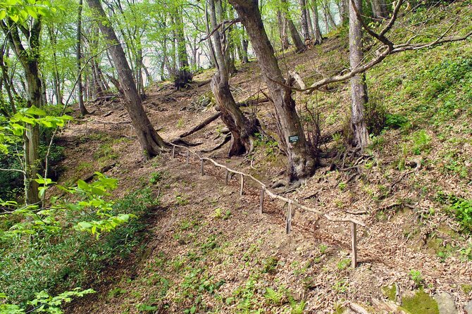Private Hiking Tour to Machakhela National Park from Batumi - Who will enjoy this Batumi day trip most