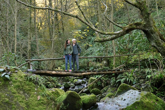 Private Hiking Tour to Mtirala National Park from Batumi - Why Mtirala makes a good Batumi escape