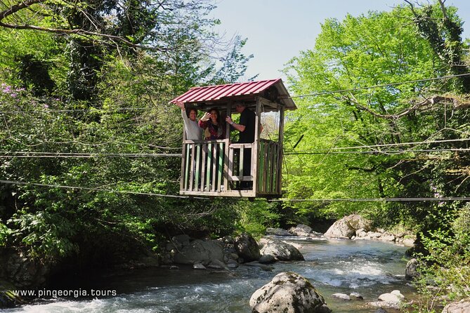 Private Hiking Tour to Mtirala National Park from Batumi - Walking the six-kilometer Chestnut Trail