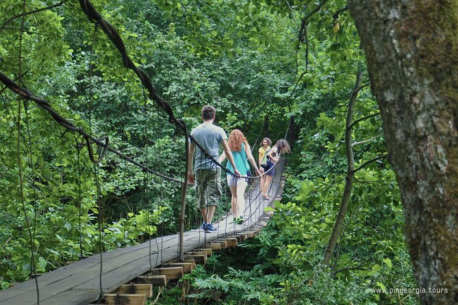 Private Hiking Tour to Mtirala National Park from Batumi - Is $42.14 good value?