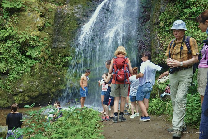 Private Hiking Tour to Mtirala National Park from Batumi - Who will enjoy this Mtirala outing?