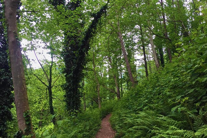 Private Hiking Tour to Mtirala National Park from Batumi - A 40-minute private ride from your hotel