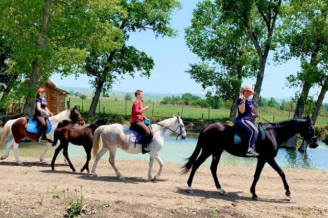 Private Horse Ridding tour - A Short Horse Ride Close to Tbilisi