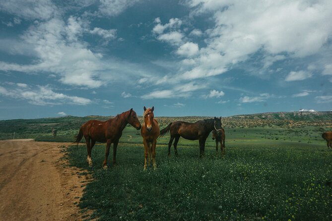 Private Horse Riding Adventure in Tbilisi - How much value do you get for $49?