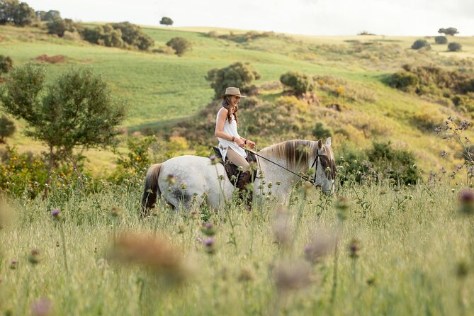 Private Horse Riding Adventure in Tbilisi - What the one-hour route feels like