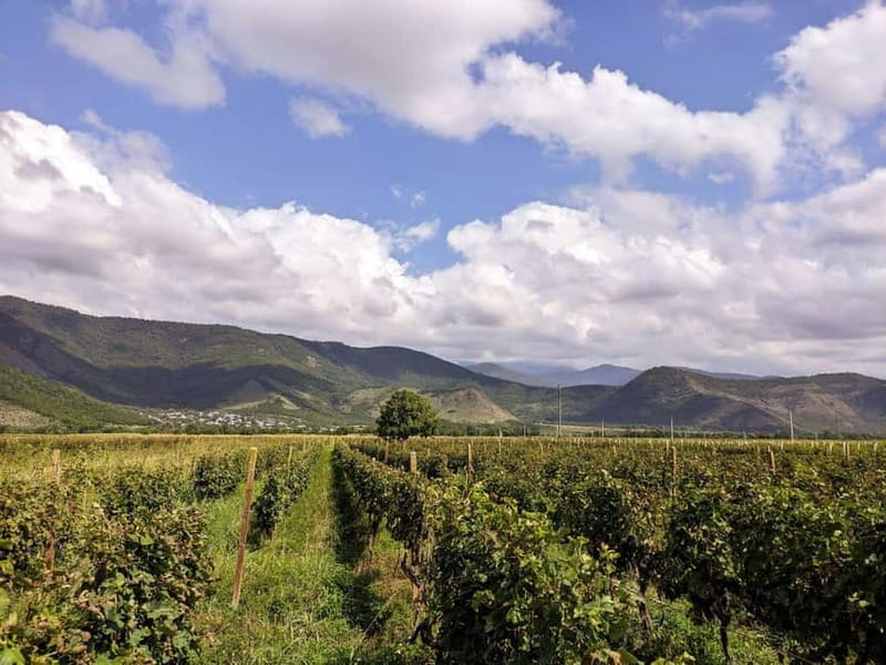 Private tour from KUTAISI: Tskhrajvari, Racha and Winery - What the $148 price really covers