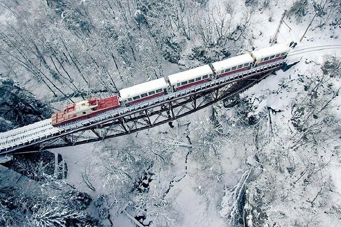 Private Tour to Bakuriani Ski Resort and the Legendary Borjomi - Key points to know before booking