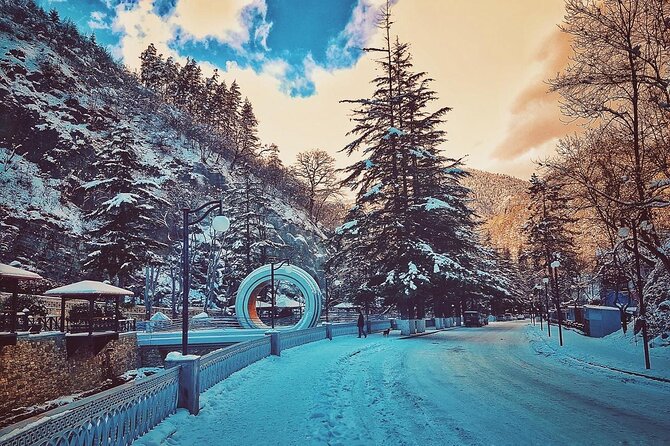 Private Tour to Bakuriani Ski Resort and the Legendary Borjomi - The Seraphim Sarov Temple detail