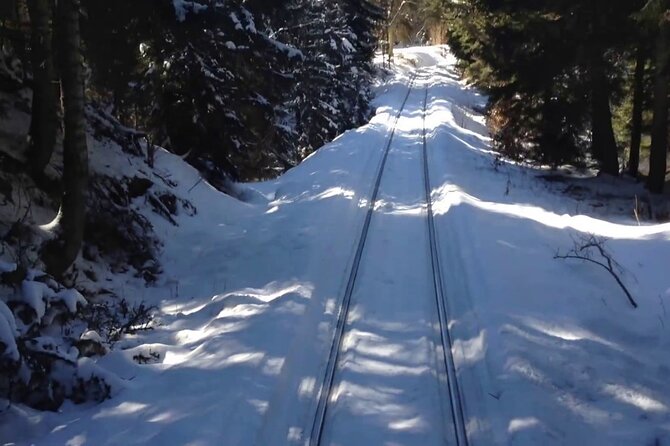 Private Tour to Bakuriani Ski Resort and the Legendary Borjomi - Returning to Borjomi Central Park
