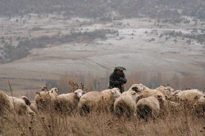 Private Tour to Kazbegi from Tbilisi - Key points to know before you book