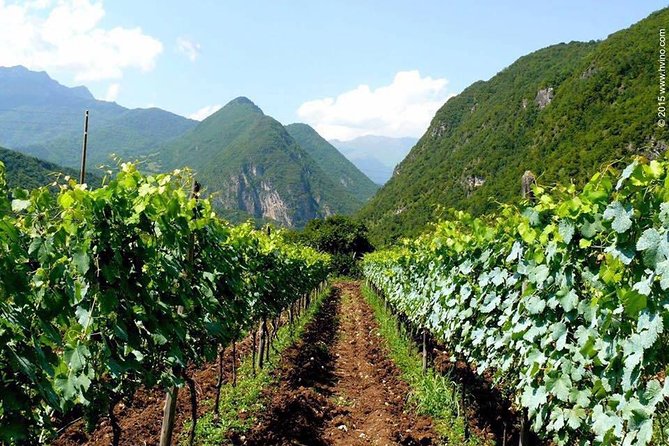 Private Tour to Mtskheta and Georgian Wine Tasting from Tbilisi - Timing, weather, and what to bring