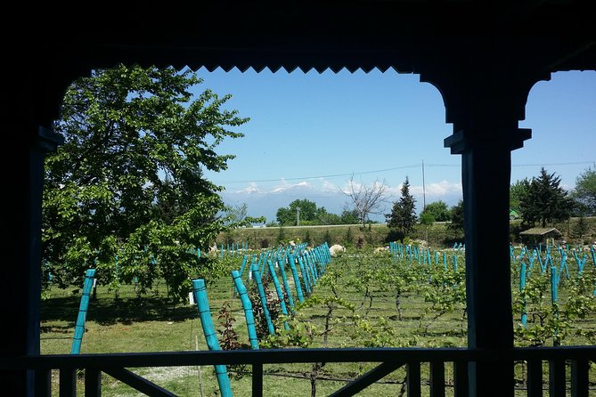 Private Wine Tour to Kakheti from Tbilisi - Leaving Tbilisi by way of Gombori Pass