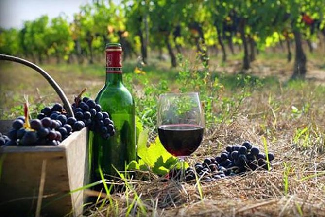 Private Wine Tour to Kakheti from Tbilisi - Tsinandali Palace and the Chavchavadze estate