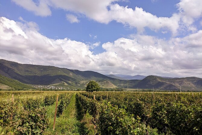 RACHA region with TSKHRAJVARI and wine tasting from Kutaisi - Nikortsminda Cathedral and its original dome