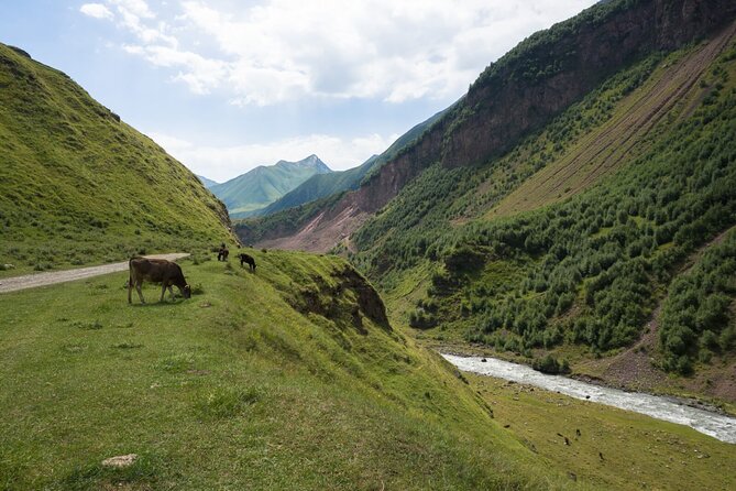 Round-Trip Bus Transfer to Truso Valley from Kazbegi - The rough road to Okrokana