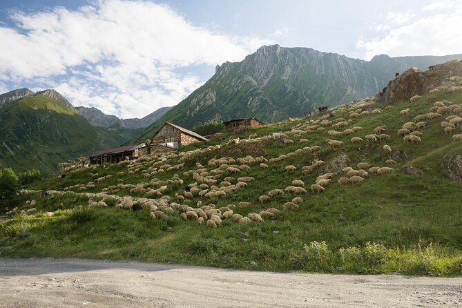 Round-Trip Bus Transfer to Truso Valley from Kazbegi - Mineral springs, pools, and the river