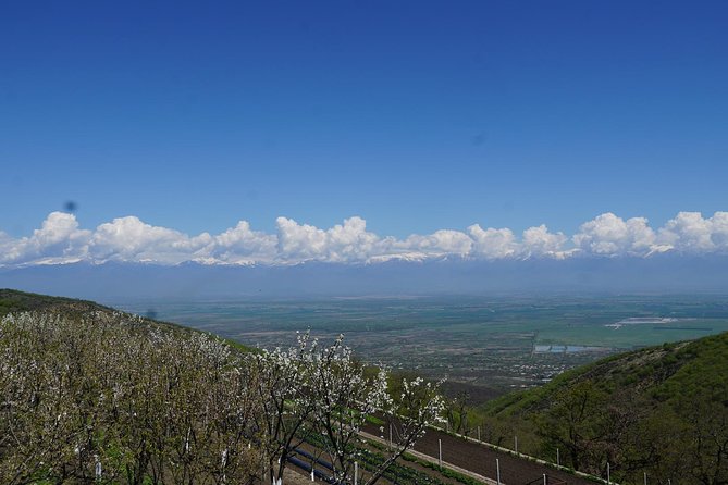 Secrets of Kakheti: Wine & Home-Cooked Lunch - KTW winery opens the day with Georgian wine