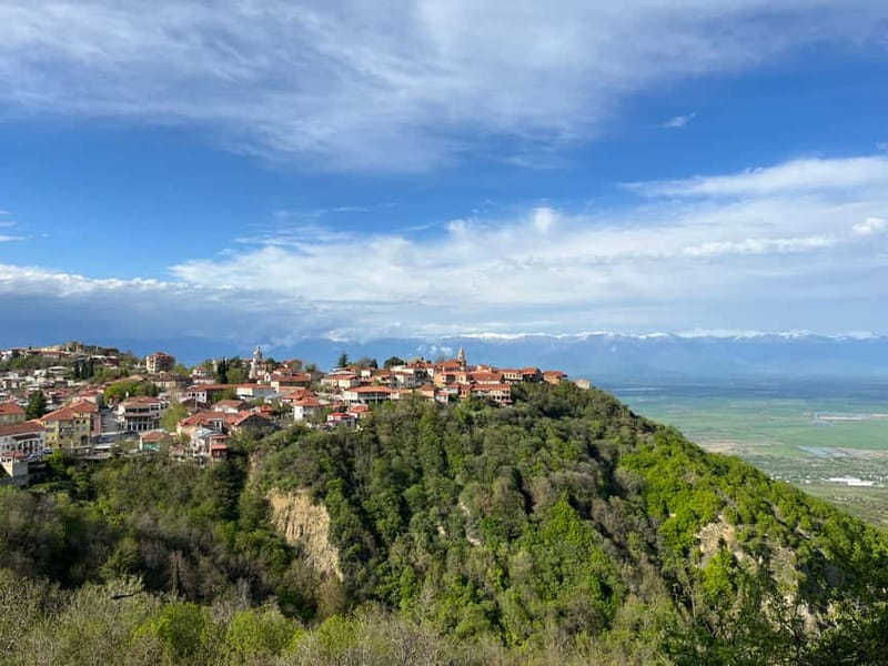 Sighnaghi Day Trip with wine tasting and Bodbe Monastery - Key points to know before you book